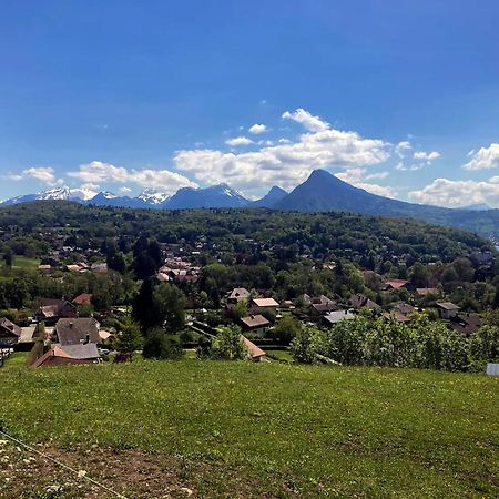 Cabane Pour Vos Vacances A 190M Du Lac D'Annecy Menthon-Saint-Bernard Eksteriør bilde